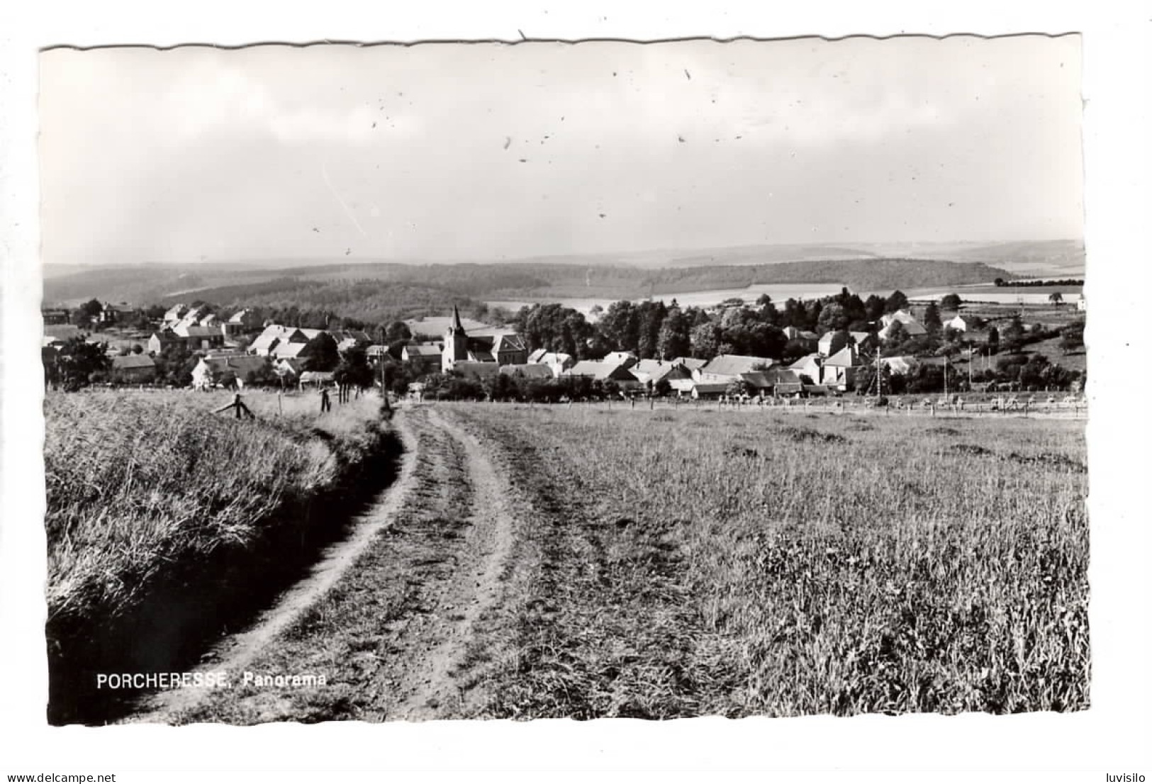 Porcheresse Panorama - Daverdisse