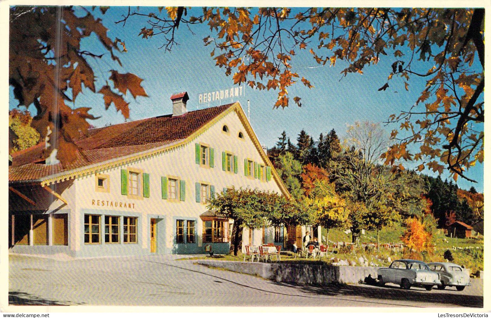 SUISSE - Café Restaurant De La Croix Fédérale Mauborget Sur Grandson - Carte Postale Ancienne - Grandson