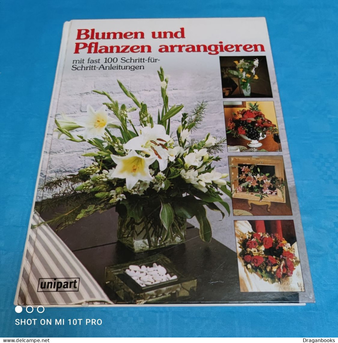 Blumen Und Pflanzen Arrangieren - Botanik