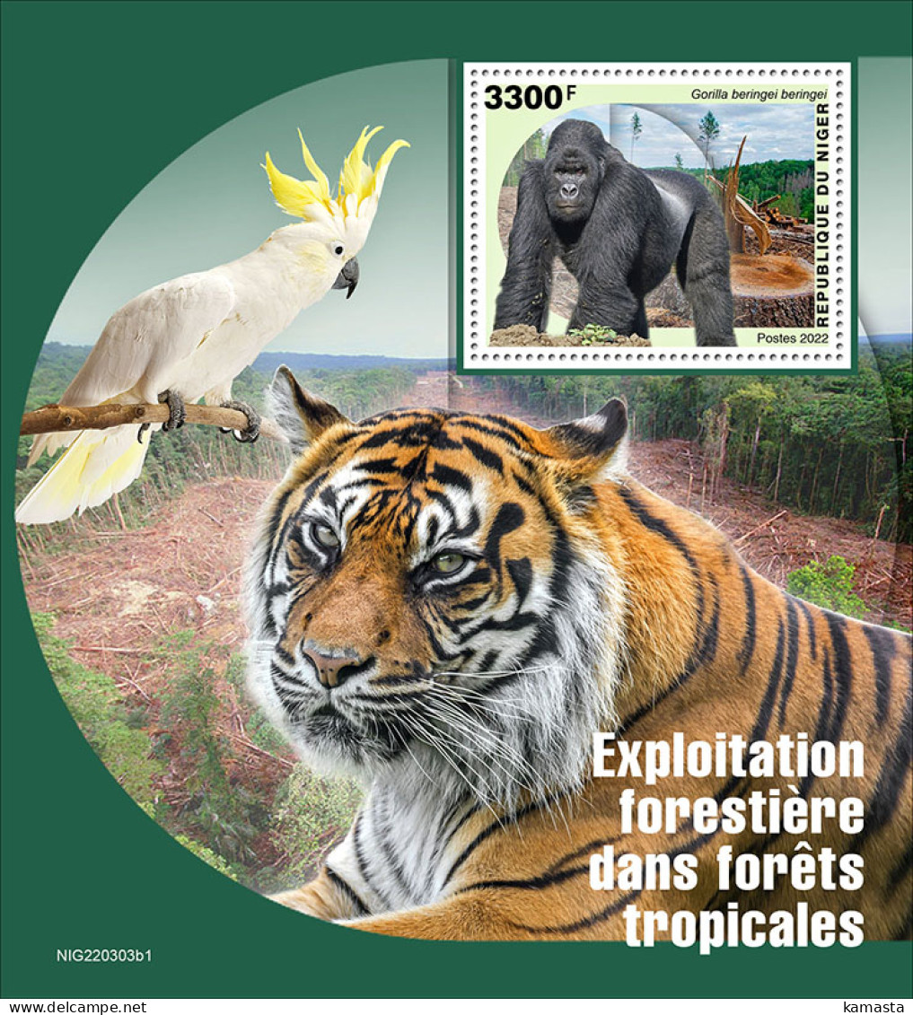 Niger  2022 Rainforest Logging. Gorilla. (303b1) OFFICIAL ISSUE - Gorilla's