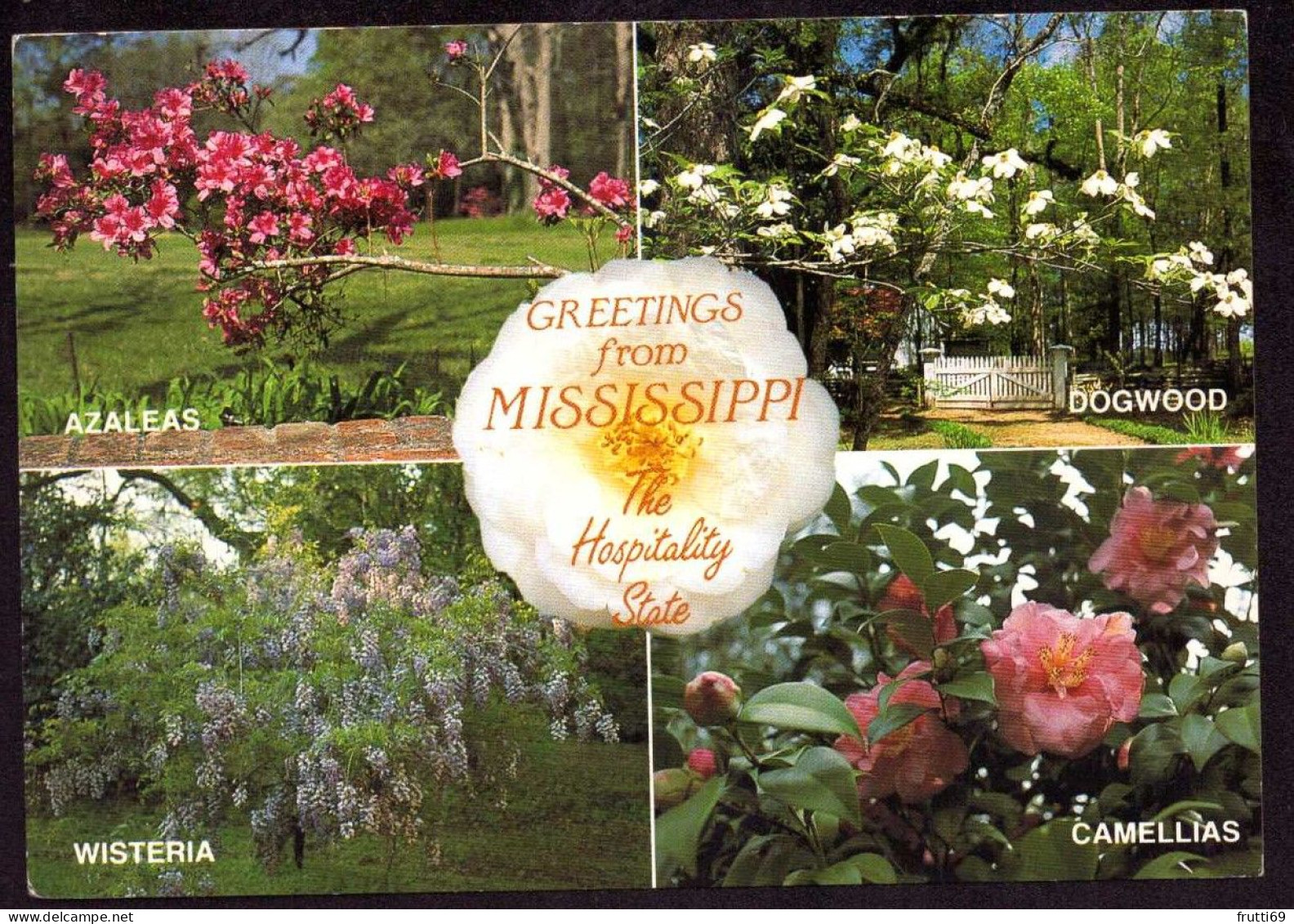 AK 126190 USA - Mississippi - Other & Unclassified