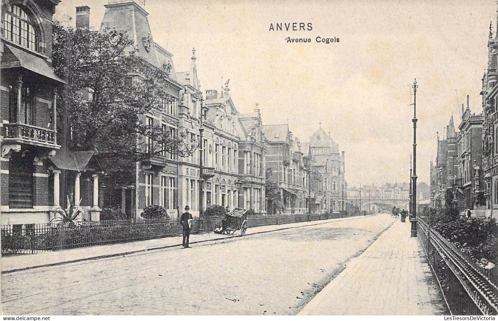 BELGIQUE - ANVERS - Avenue Cogels - Carte Postale Ancienne - Other & Unclassified