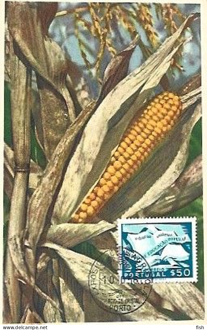Portugal & Maximum Card, Agricultural Exhibition, Crystal Palace, Zea Mays, Porto 1956 (242) - Agriculture