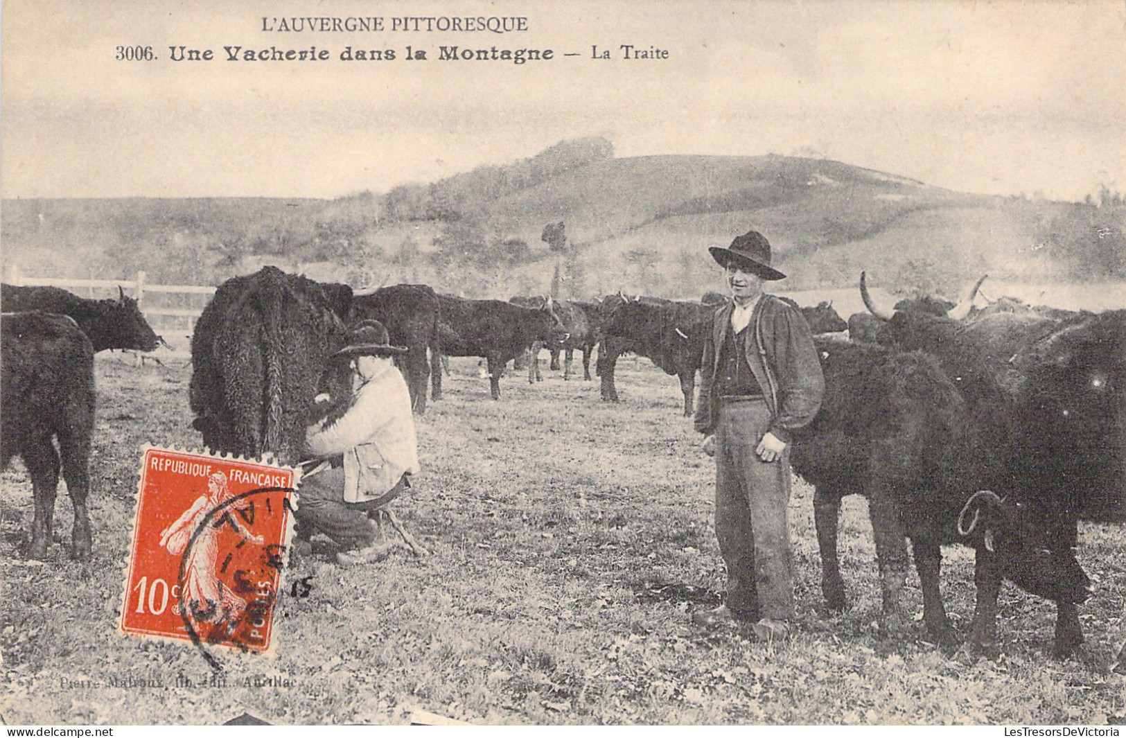 FRANCE - 63 - AUVERGNE - Une Vacherie Dans La Montagne - La Traite - Carte Postale Ancienne - Auvergne Types D'Auvergne