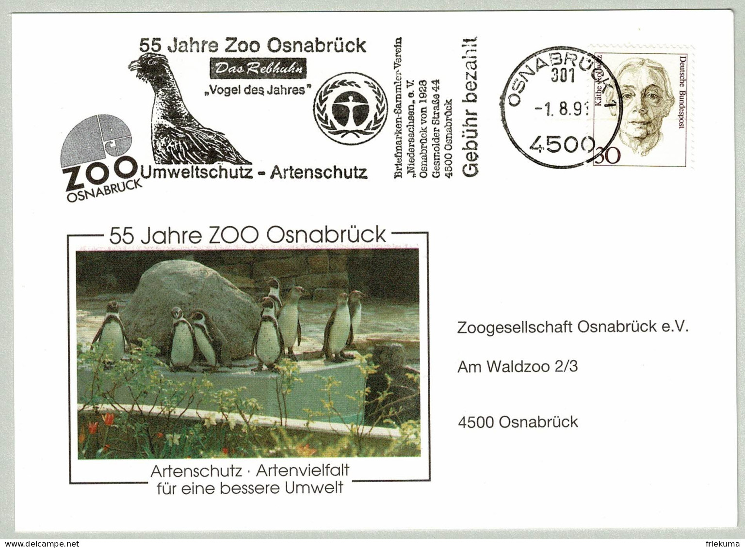 Deutsche Bundespost 1991, Postkarte Zoo Osnabrück, Rebhuhn / Perdrix / Partridge, Pinguin / Penguin - Grey Partridge