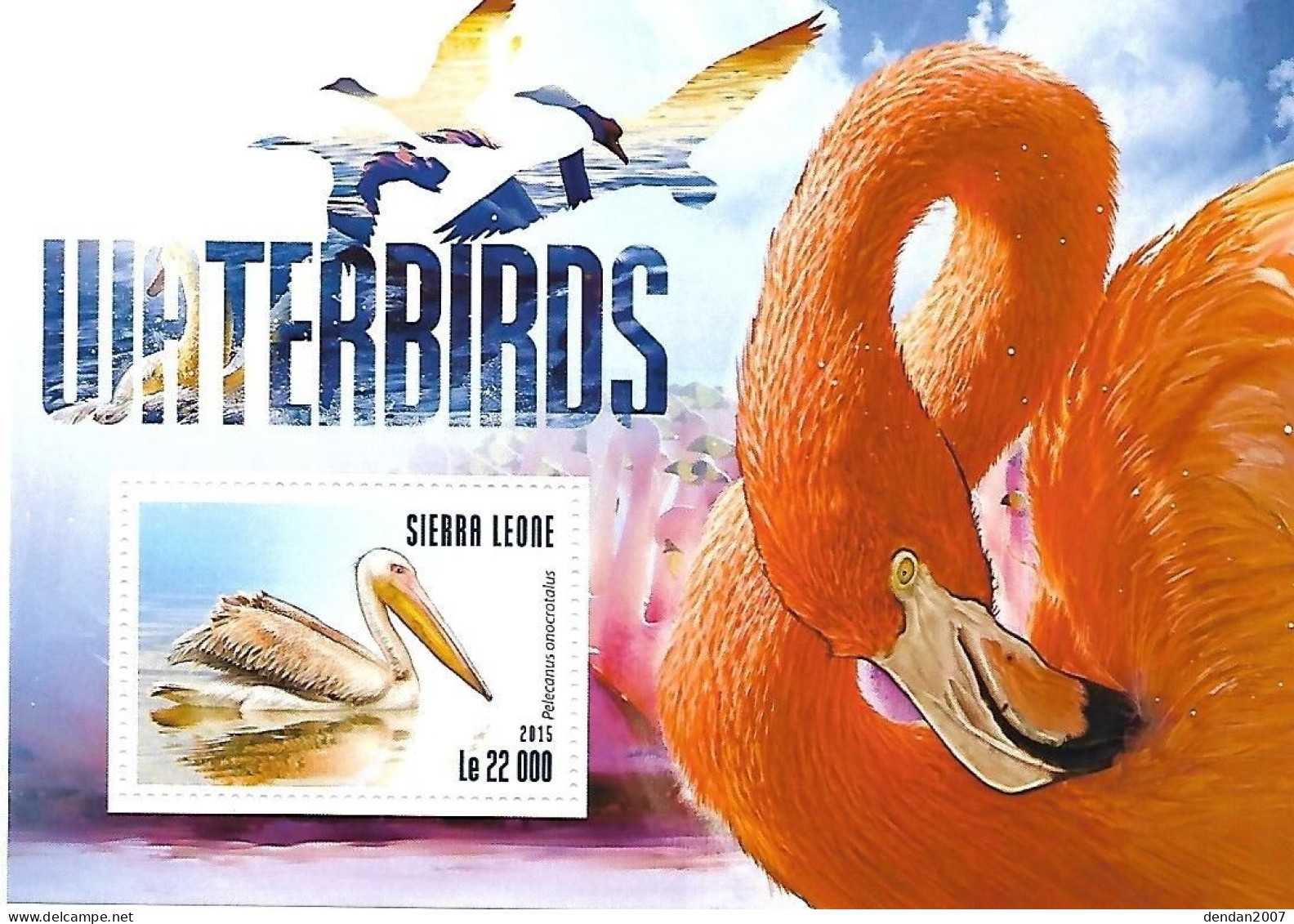 Sierra Leone - MNH ** 2015 :  Stamp : Great White Pelican  -  Pelecanus Onocrotalus - Pelícanos