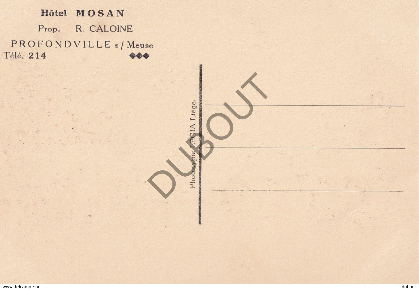 Postkaart/Carte Postale -Profondeville - Hôtel Mosan - R. Caloine   (C3803) - Profondeville