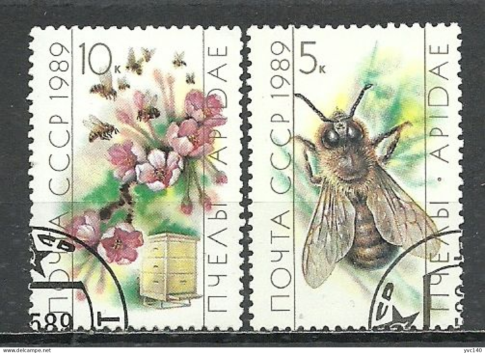 Russia ; 1989 Flowers And Honeybee - Abeilles
