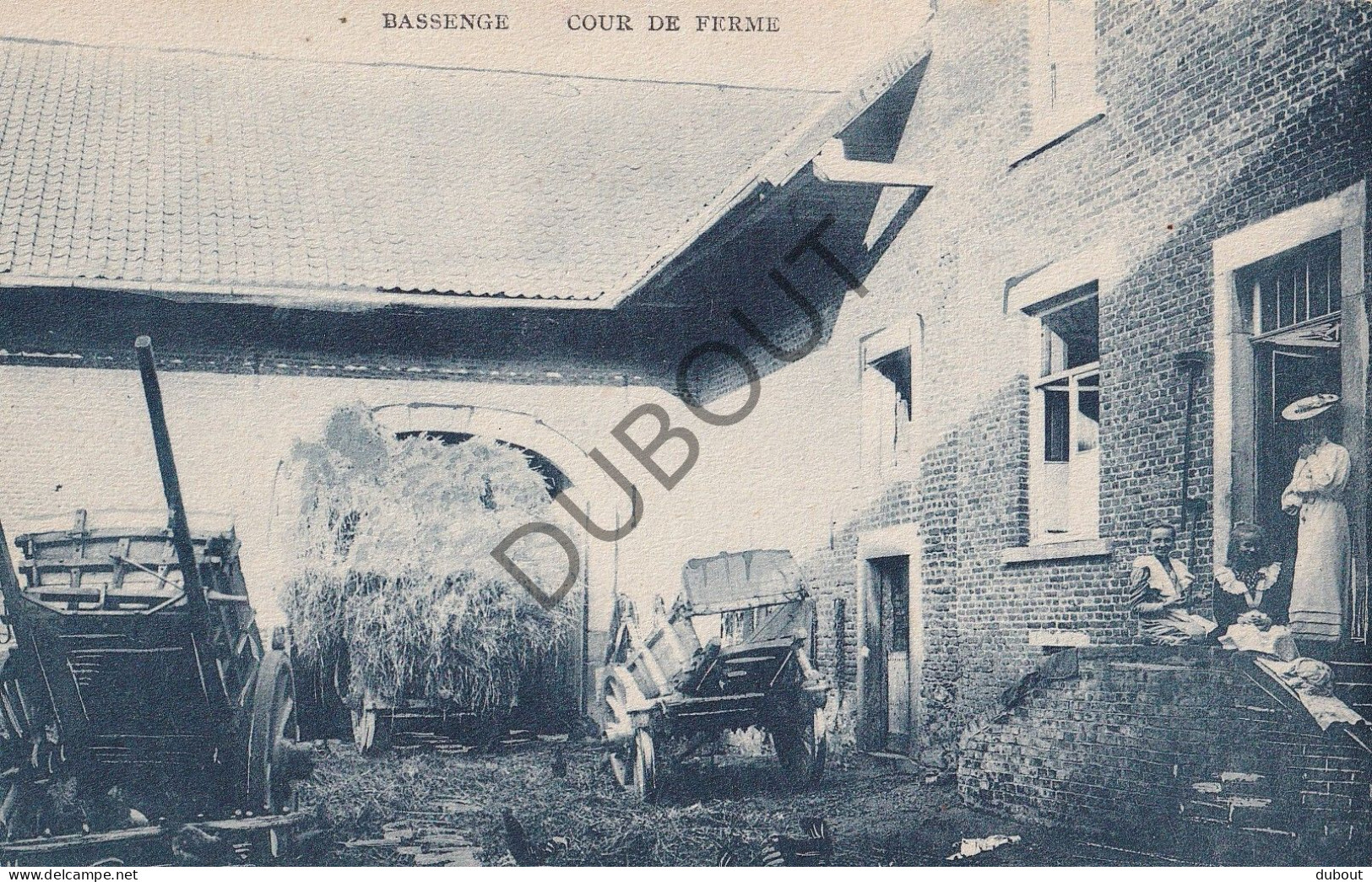 Postkaart/Carte Postale - Bassenge/Bitsingen - Cour De Ferme (C4032) - Bassenge