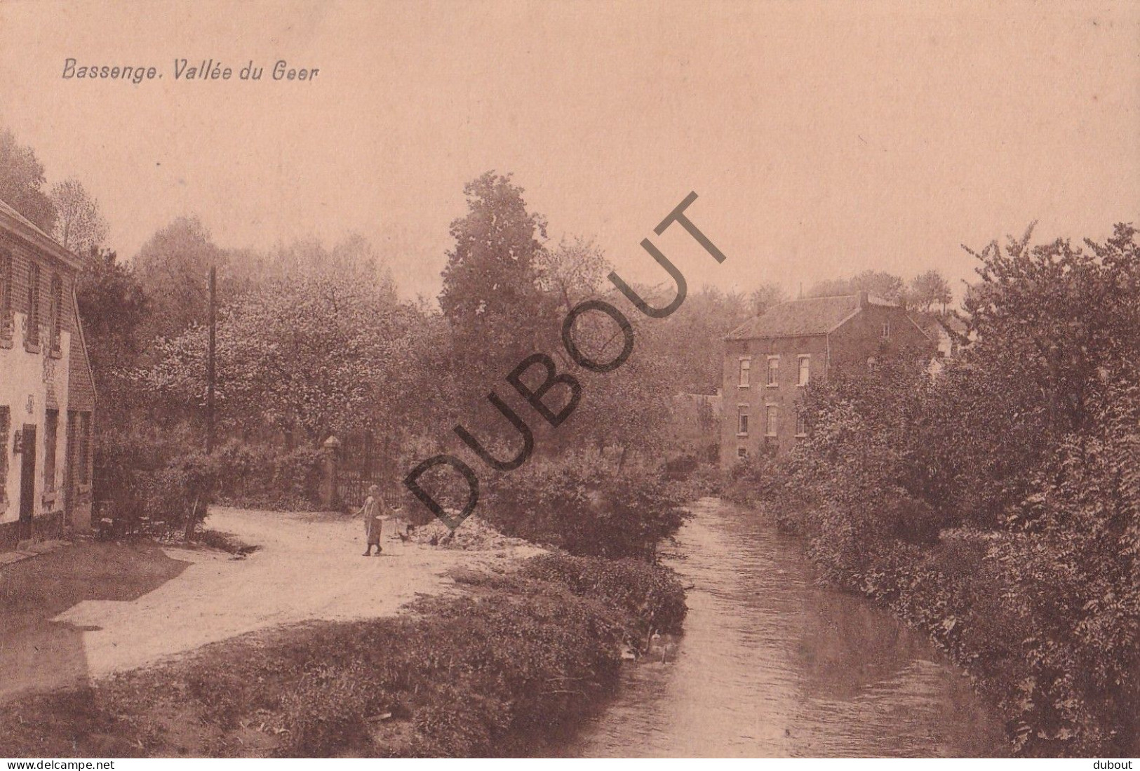 Postkaart/Carte Postale - Bassenge/Bitsingen - La Vallée Du Geer (C4011) - Bassenge