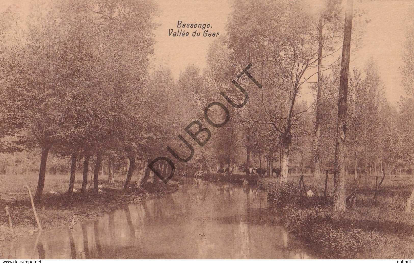 Postkaart/Carte Postale - Bassenge/Bitsingen - Vallée Du Geer (C4005) - Bassenge