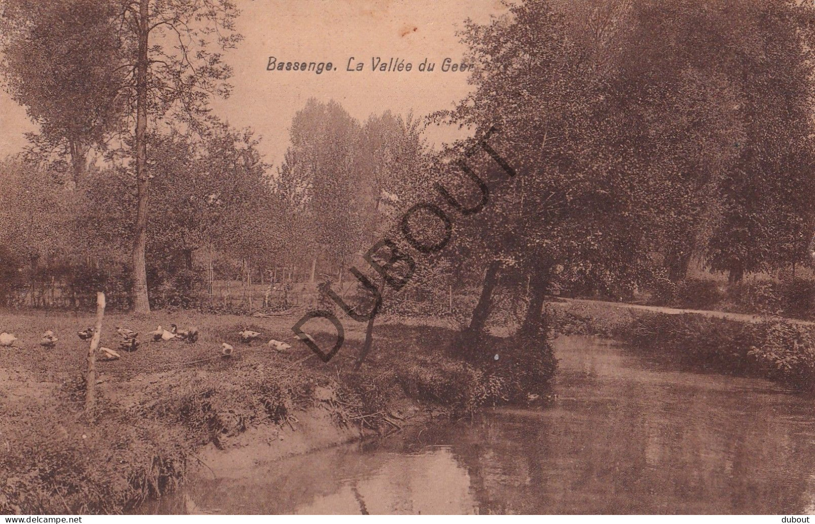 Postkaart/Carte Postale - Bassenge/Bitsingen - Vallée Du Geer (C4051) - Bassenge