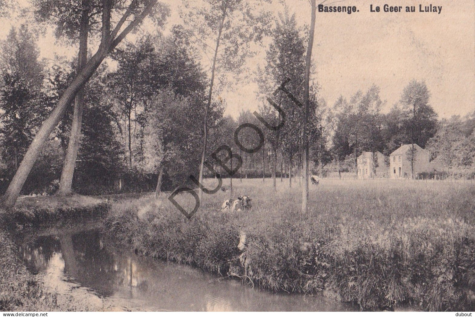 Postkaart/Carte Postale - Bassenge/Bitsingen - Le Geer Au Lulay (C4045) - Bassenge