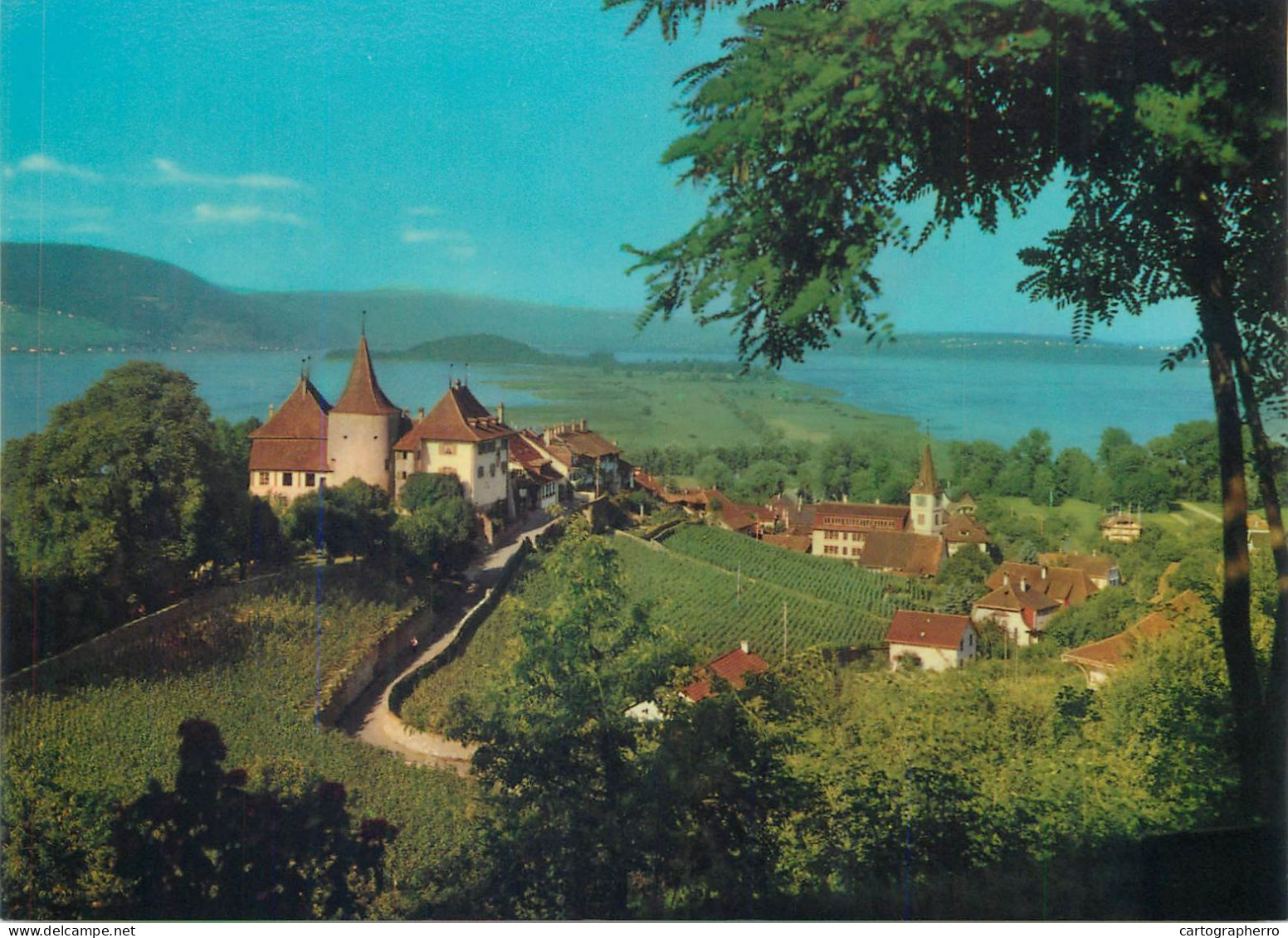 Switzerland Erlach Cerlier Und Peterinsel - Cerlier