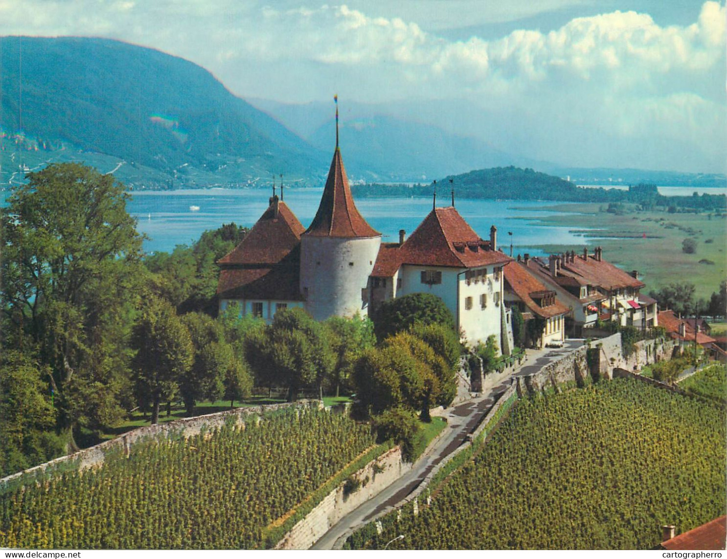 Switzerland Erlach Chateau De Cerlier Und Peterinsel - Cerlier