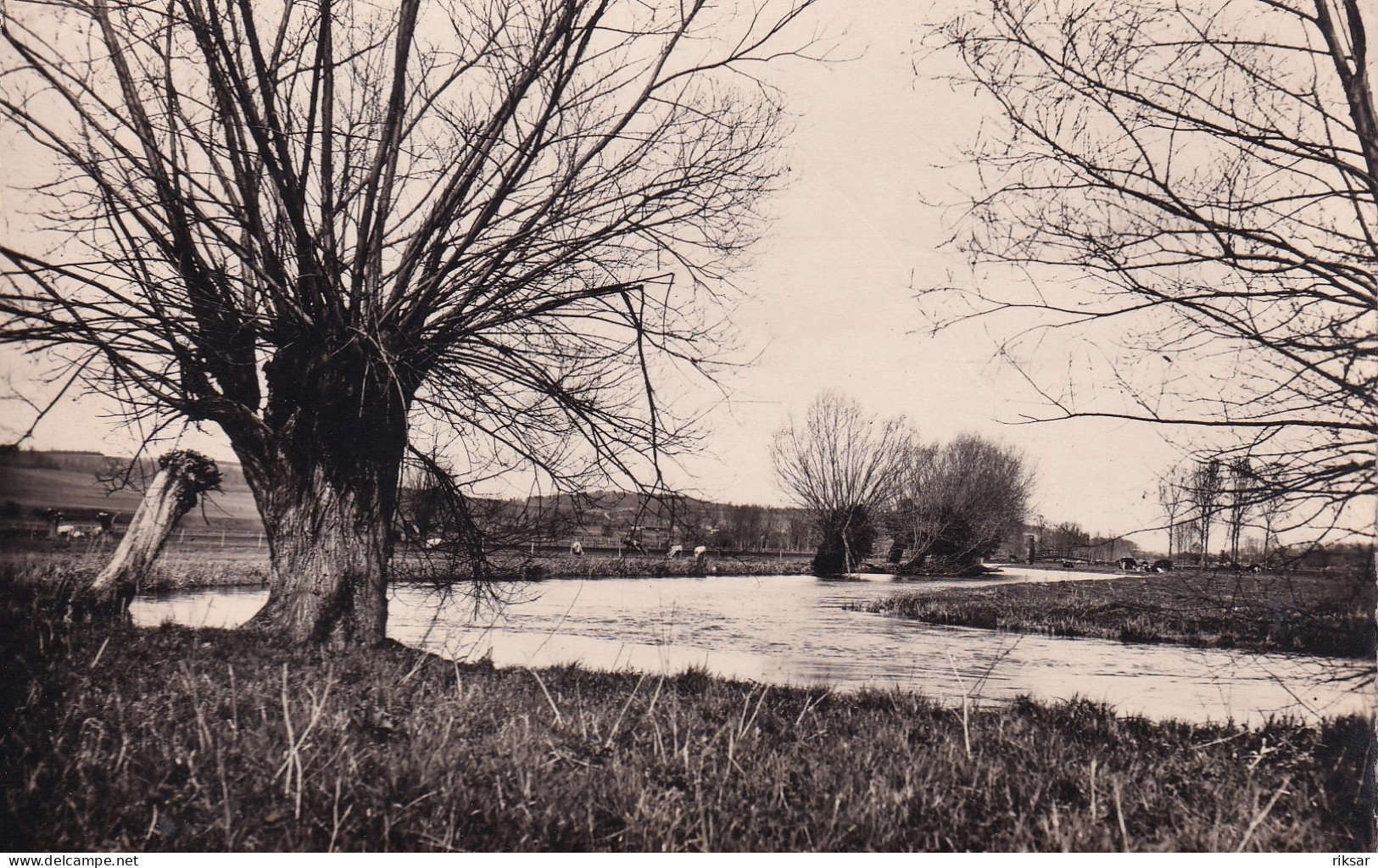 SAINT CLAIR SUR EPTE(ARBRE) - Saint-Clair-sur-Epte