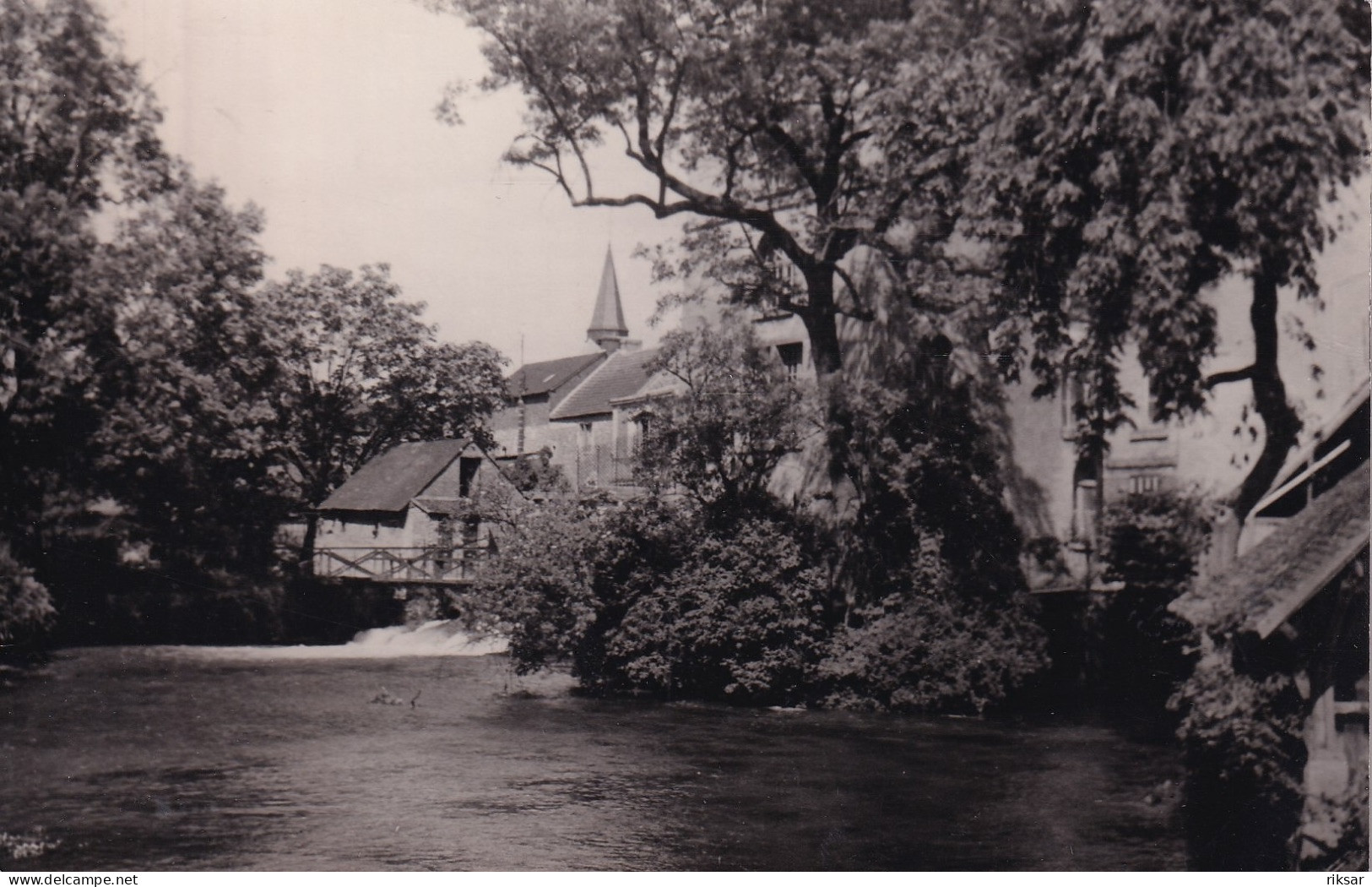 SAINT CLAIR SUR EPTE(MOULIN) ARBRE - Saint-Clair-sur-Epte