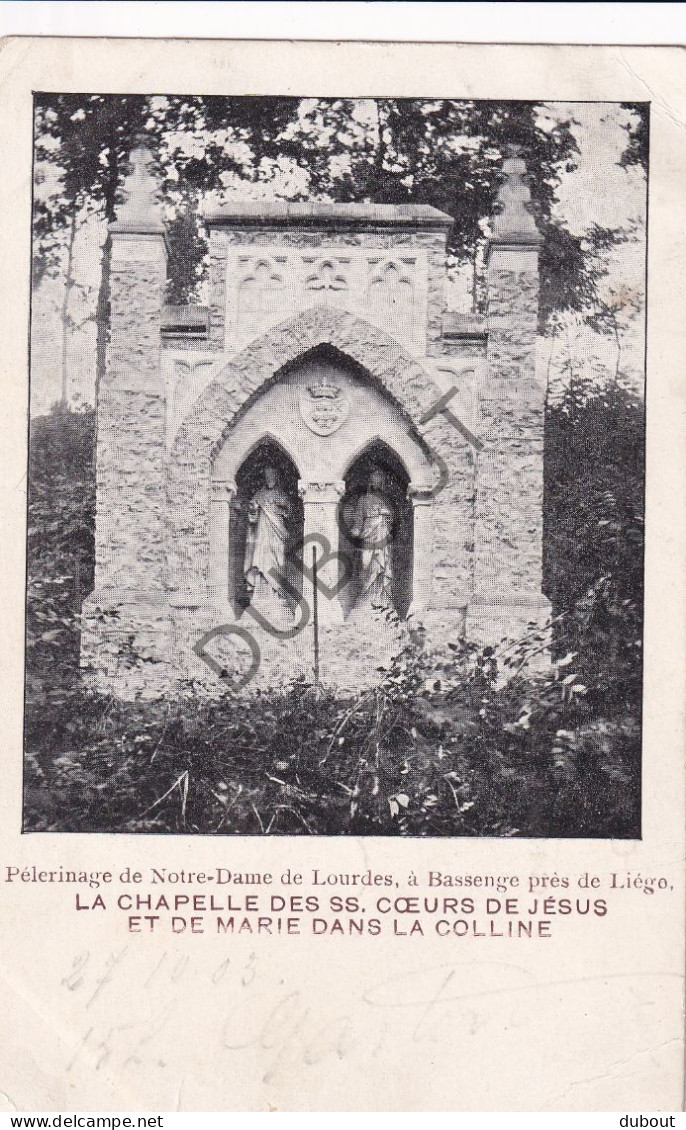 Postkaart/Carte Postale - Bassenge/Bitsingen - Pélérinage De Notre Dame De Lourdes (C4022) - Bassenge