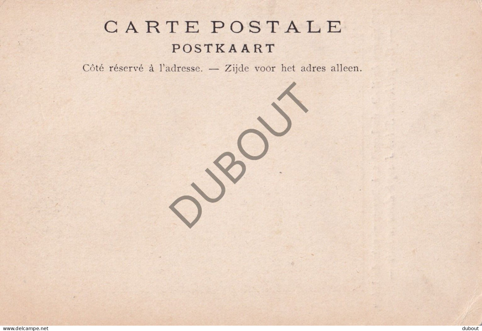 Postkaart/Carte Postale - Bassenge/Bitsingen - Pélérinage De Notre Dame De Lourdes (C4010) - Bassenge