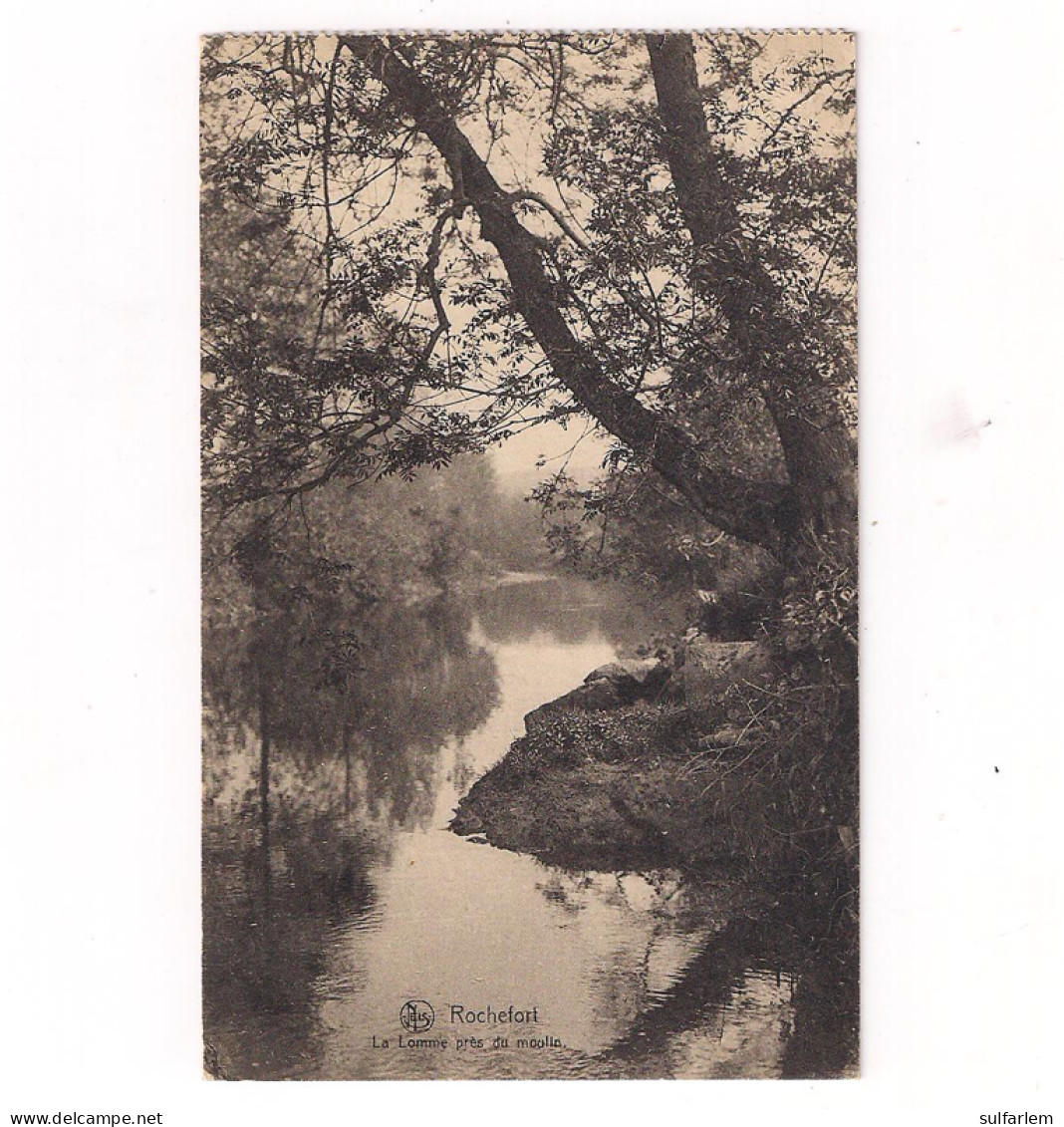 Carte Postale. ROCHEFORT. La Lomme Près De Moulin. - Rochefort