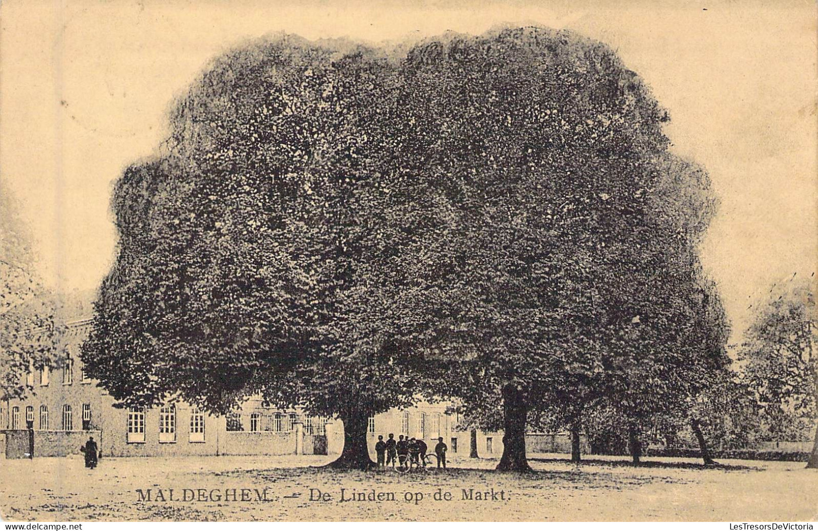 BELGIQUE - MALDEGHEM - De Linden Op De Markt - Carte Postale Ancienne - Maldegem