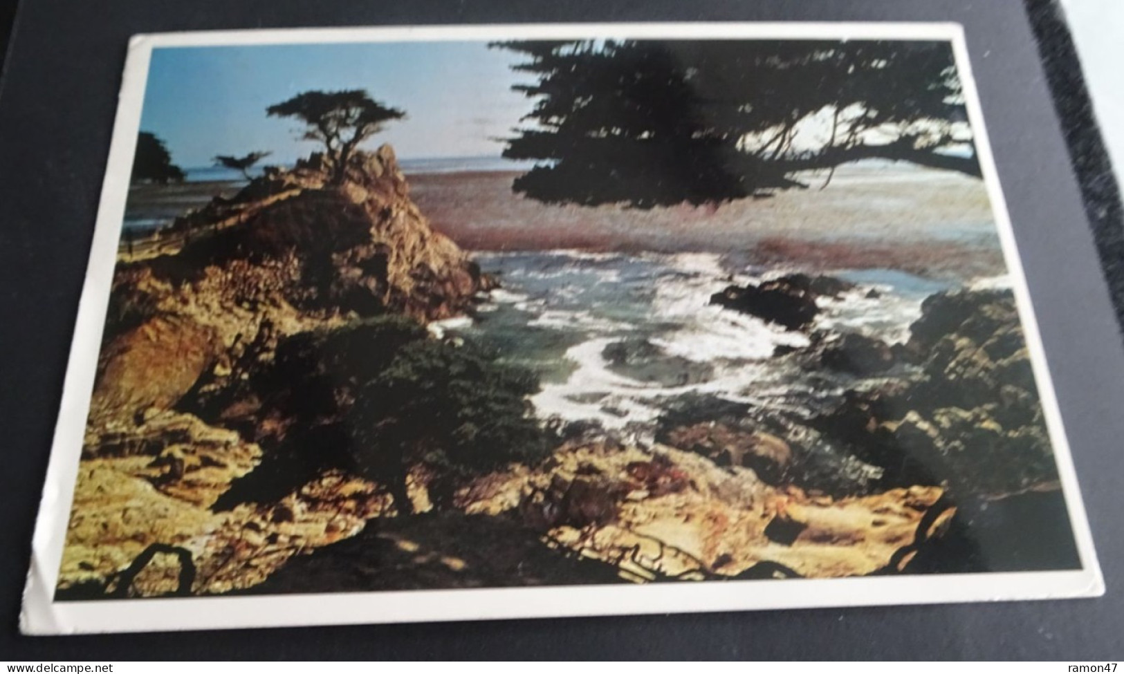 Cypress Point, Monterey, California - A Curt Teich Signature Series - Yosemite