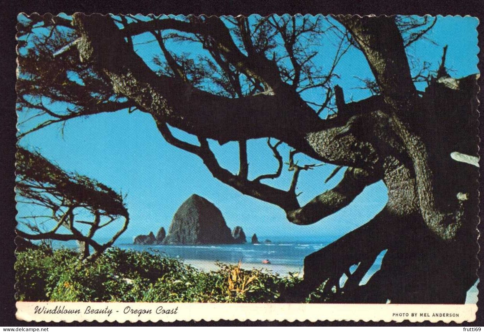 AK 126211 USA - Oregon Coast - Windblown Beauty - Multi-vues, Vues Panoramiques