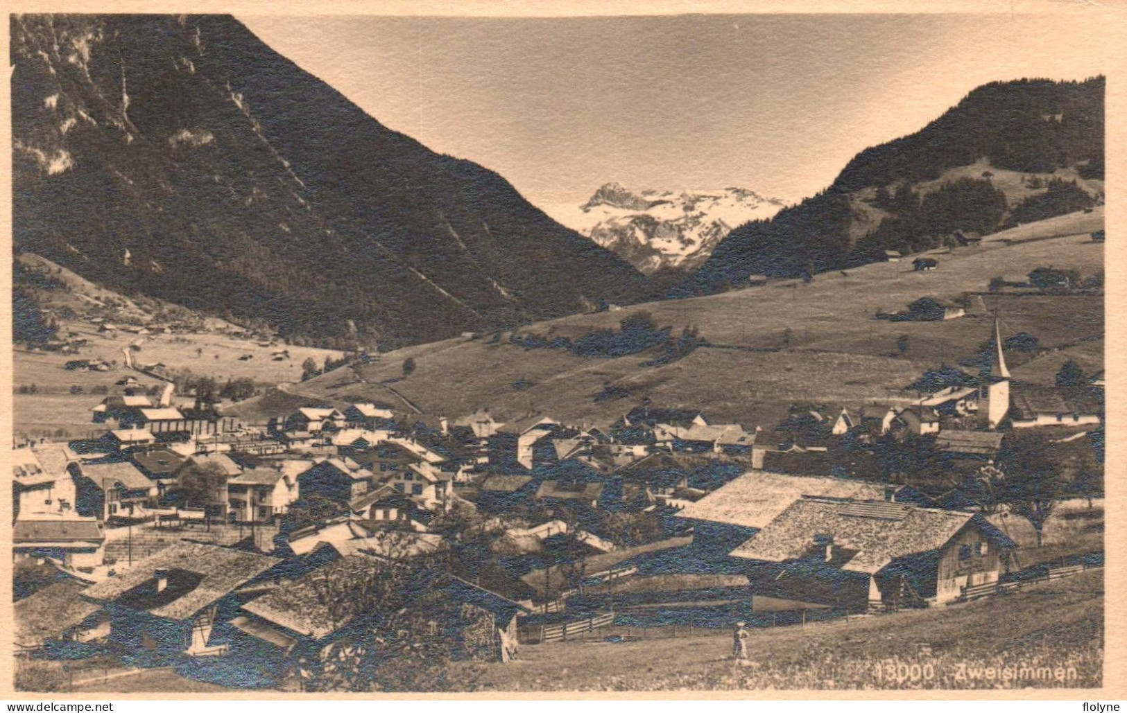 Zweisimmen - Panorama Sur Le Village - Suisse Switzerland - Zweisimmen