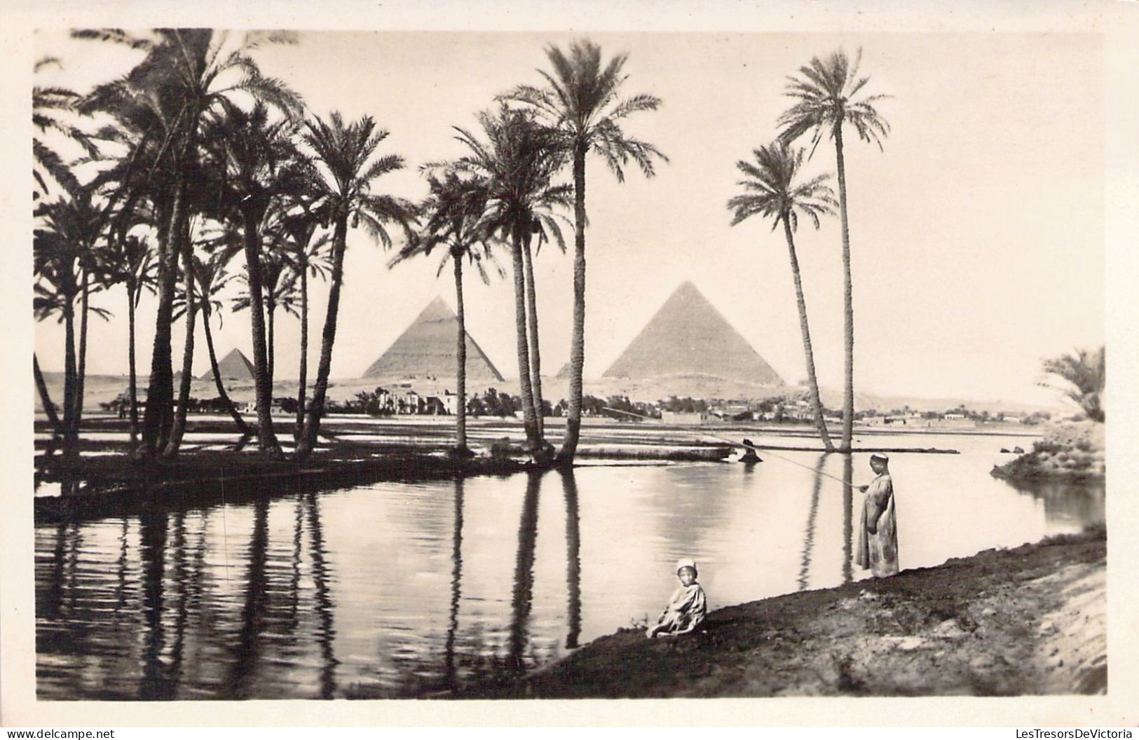 EGYPTE - General View To The Pyramids During The Inundation - Carte Postale Ancienne - Gizeh