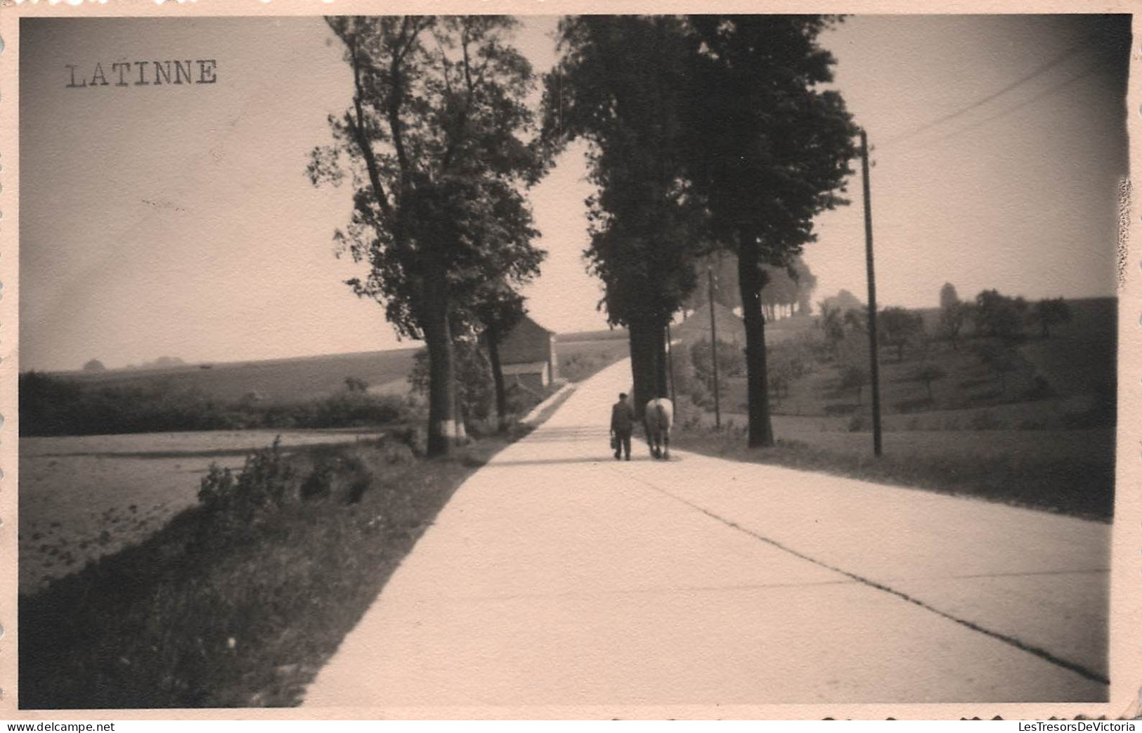 BELGIQUE - Latinne - Carte Photo - Mr HOUGARDY Bourgmestre - Carte Postale Ancienne - Other & Unclassified