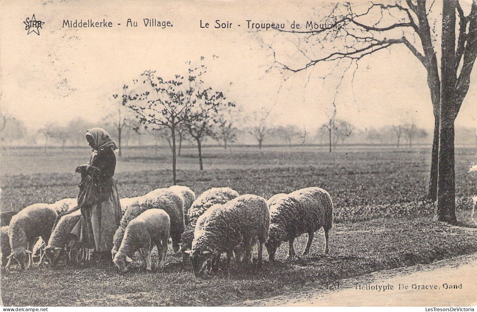 BELGIQUE - MIDDELKERKE - Au Village - Le Soir - Troupeau De Moutons - Carte Postale Ancienne - Otros & Sin Clasificación