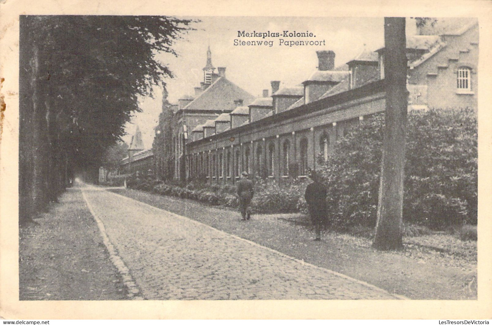 BELGIQUE - MERXPLAS COLONIE - Steenweg Papenvoort - Carte Postale Ancienne - Andere & Zonder Classificatie