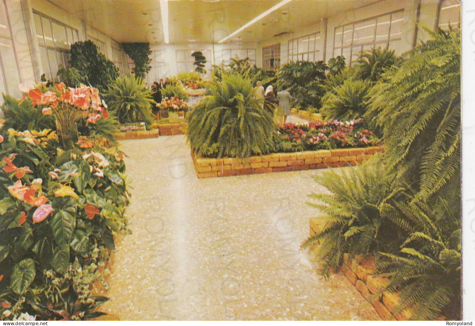 CARTOLINA  ROMA,LAZIO-2°MONSTRA DI FIORI E PIANTE ORNAMENTALI DEL LAZIO-FIERA DI ROMA 1973-BELLA ITALIA,NON VIAGGIATA - Expositions