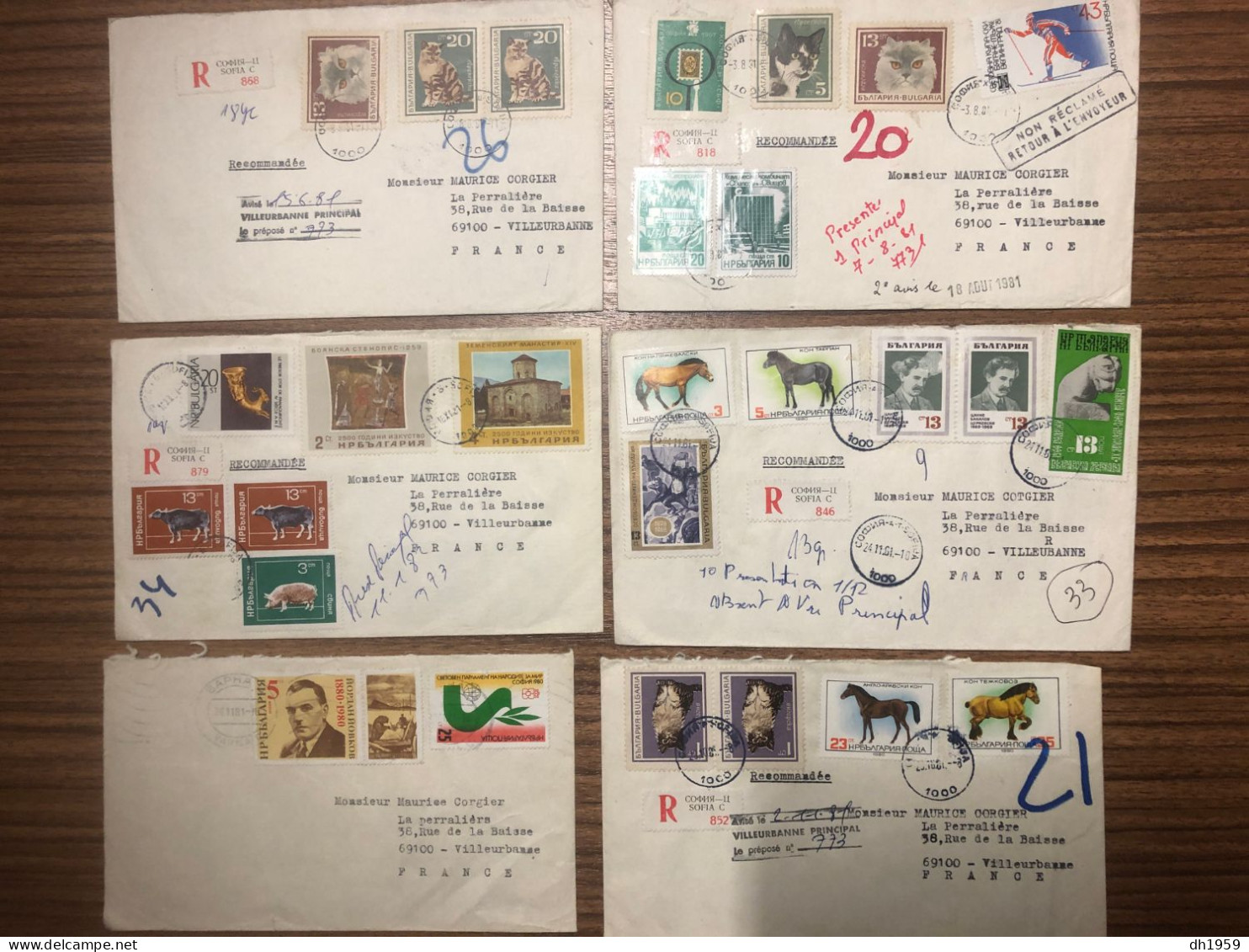 BULGARIE BULGARIEN BULGARIA COLLECTION LOT Env. 66 LETTRES COVER BRIEFE SOFIA VILLEURBANNE CAT CHAT HORSE SOCCER - Verzamelingen & Reeksen