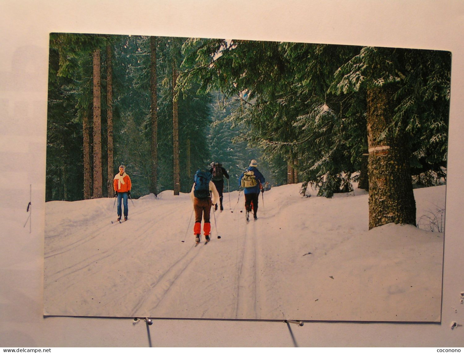 Sports > Sports D'hiver - Ski De Fond - Promenade En Forêt - Sports D'hiver