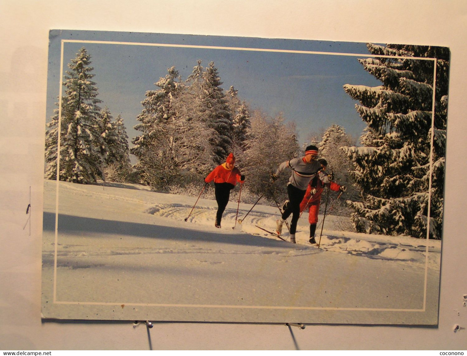 Sports > Sports D'hiver - Ski De Fond - Promenade En Forêt - Sports D'hiver