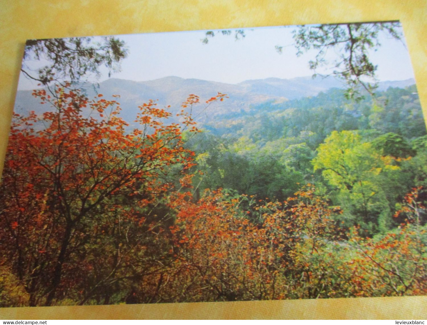 10 cartes postales anciennes/ Bei Jing/ PEKIN/ République Populaire de Chine / Vers 1980     JAP51