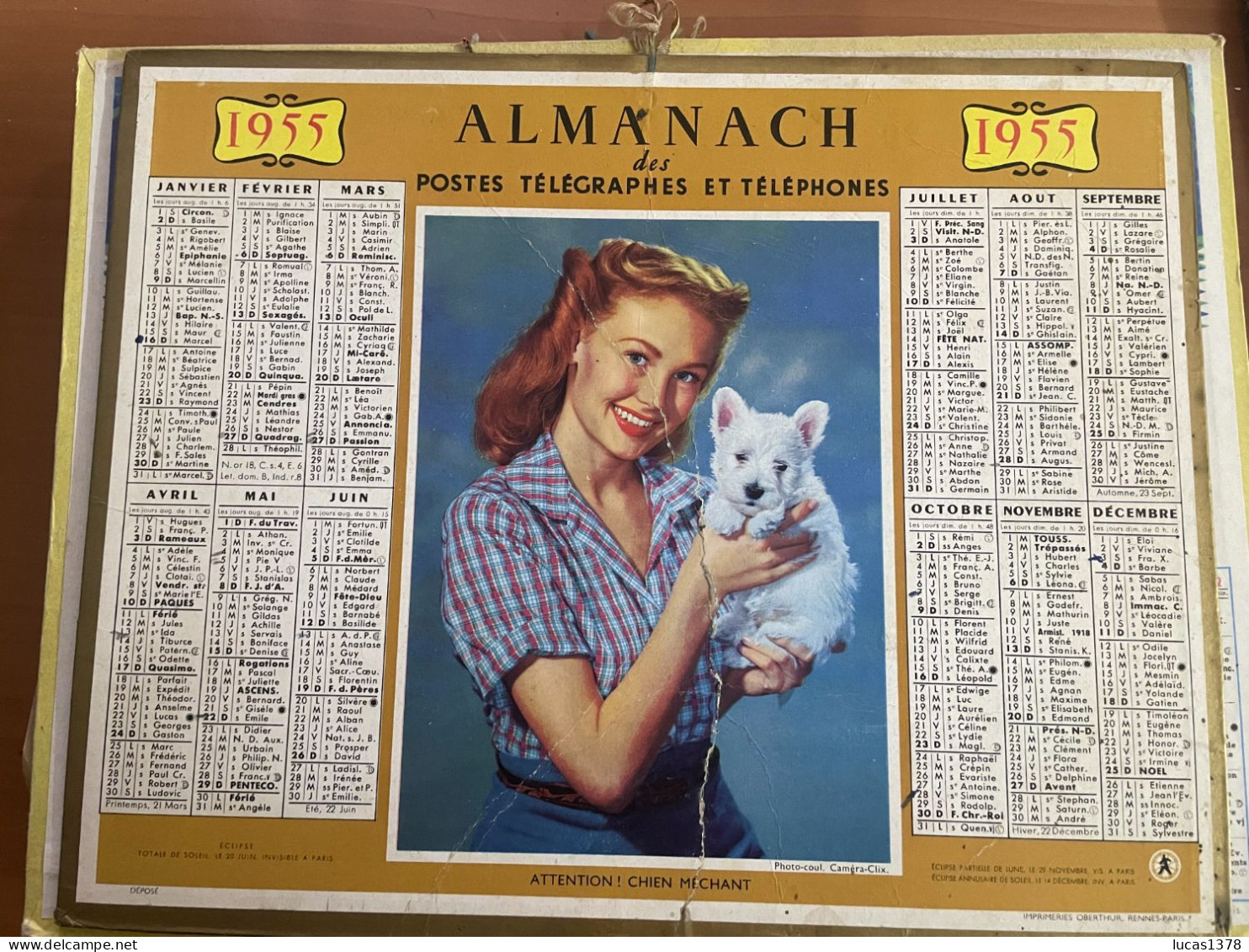 CALENDRIER ALMANACH DES POSTES  1955 / ATTENTION CHIEN MECHANT - Formato Grande : 1941-60