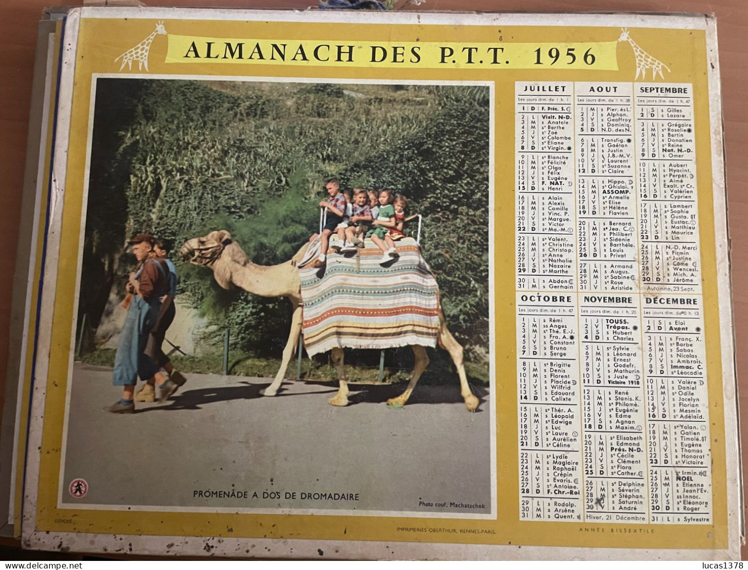 CALENDRIER ALMANACH DES POSTES  1956 / AU ZOO / - Big : 1941-60