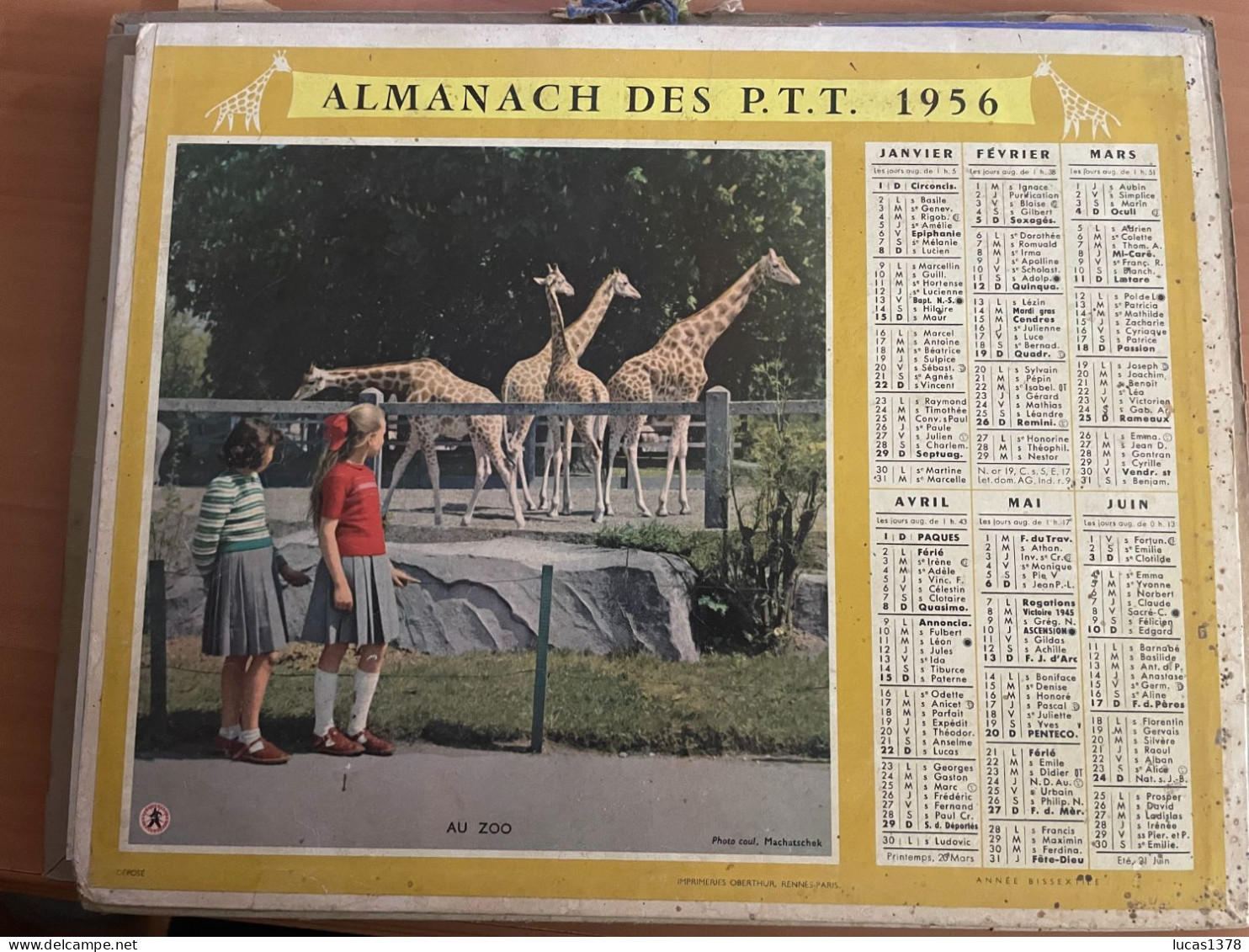 CALENDRIER ALMANACH DES POSTES  1956 / AU ZOO / - Tamaño Grande : 1941-60