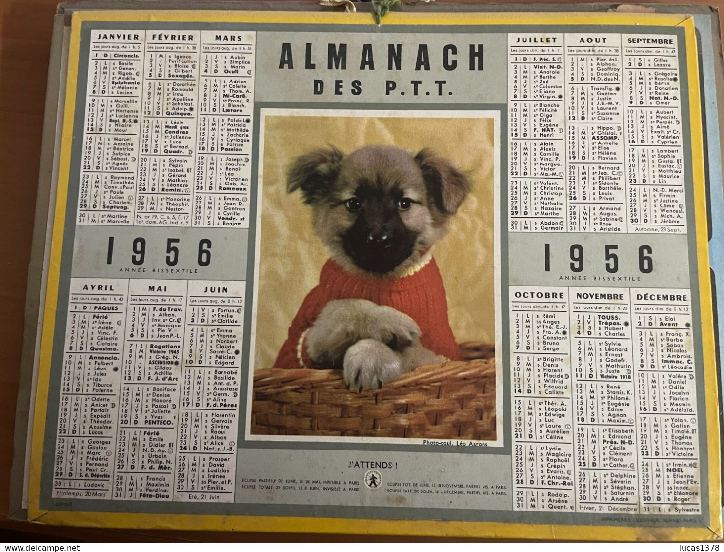 CALENDRIER ALMANACH DES POSTES  1956 / CHIOT - Big : 1941-60