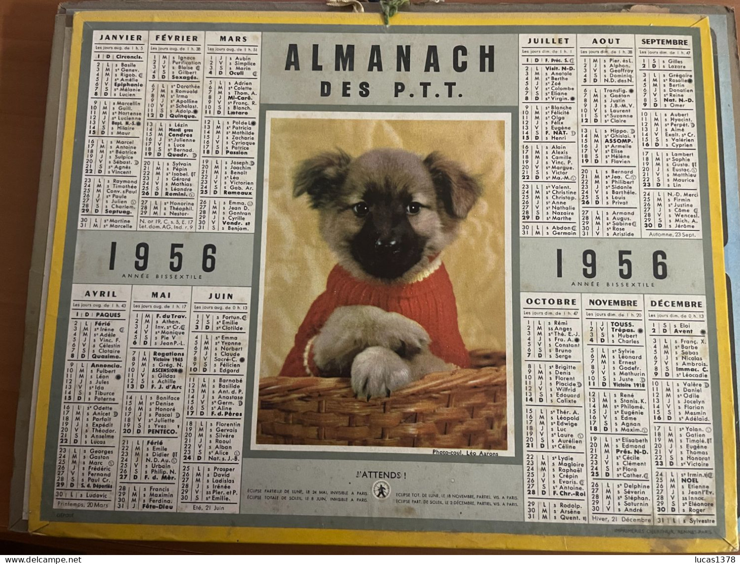 CALENDRIER ALMANACH DES POSTES  1956 / CHIOT - Tamaño Grande : 1941-60