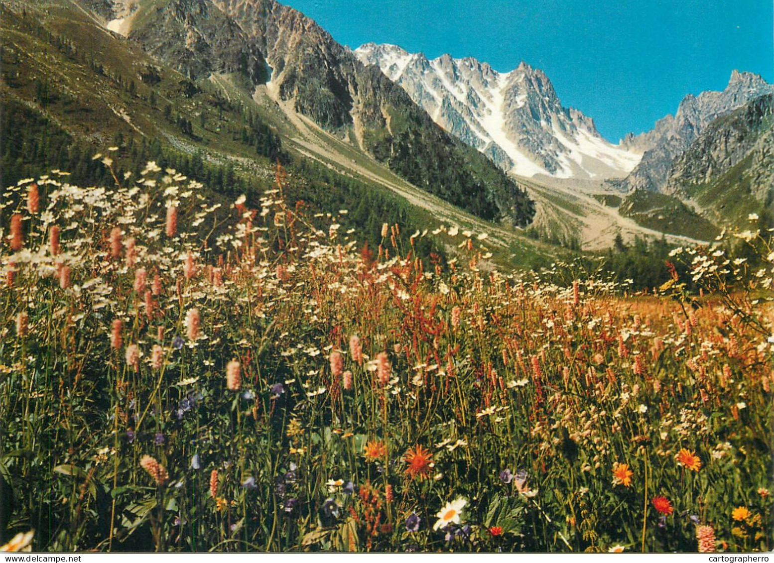 Switzerland Champex Val D'Arpettaz Avec Le Pointe D'Orny & Les Ecandies - Orny