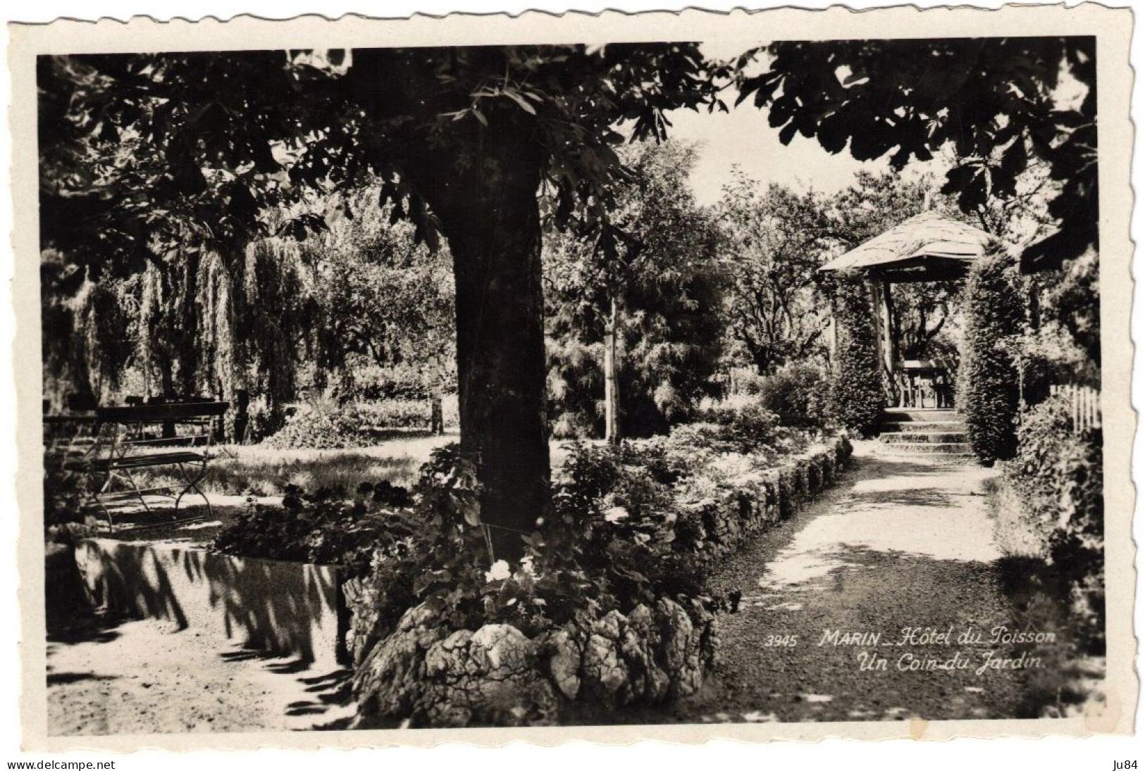 Suisse - Neuchâtel - Marin - Hôtel Du Poisson - Un Coin Du Jardin - Carte Postale Vierge - Marin