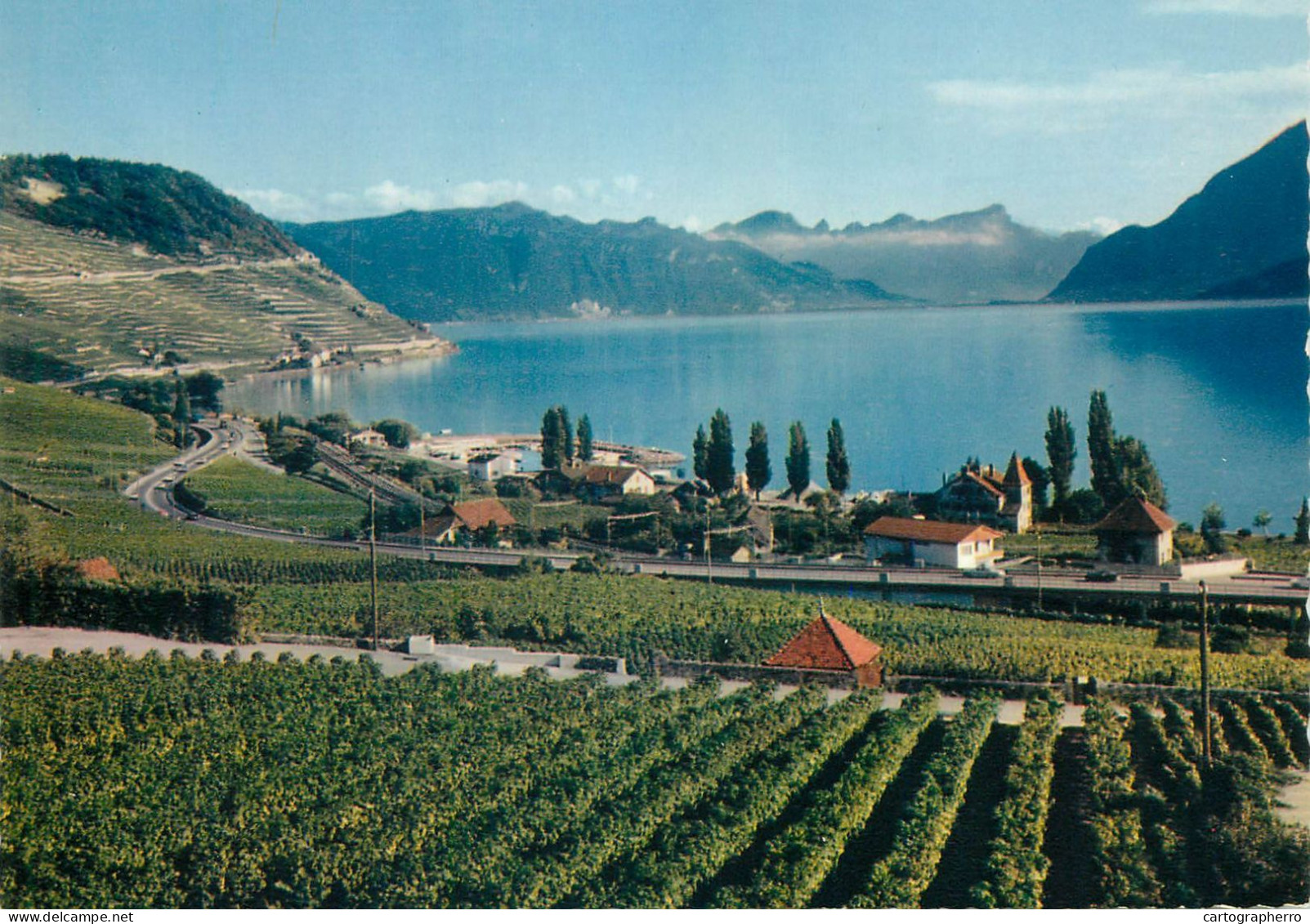 Switzerland Lac Leman Cully & Vignoble De Lavaux - Cully