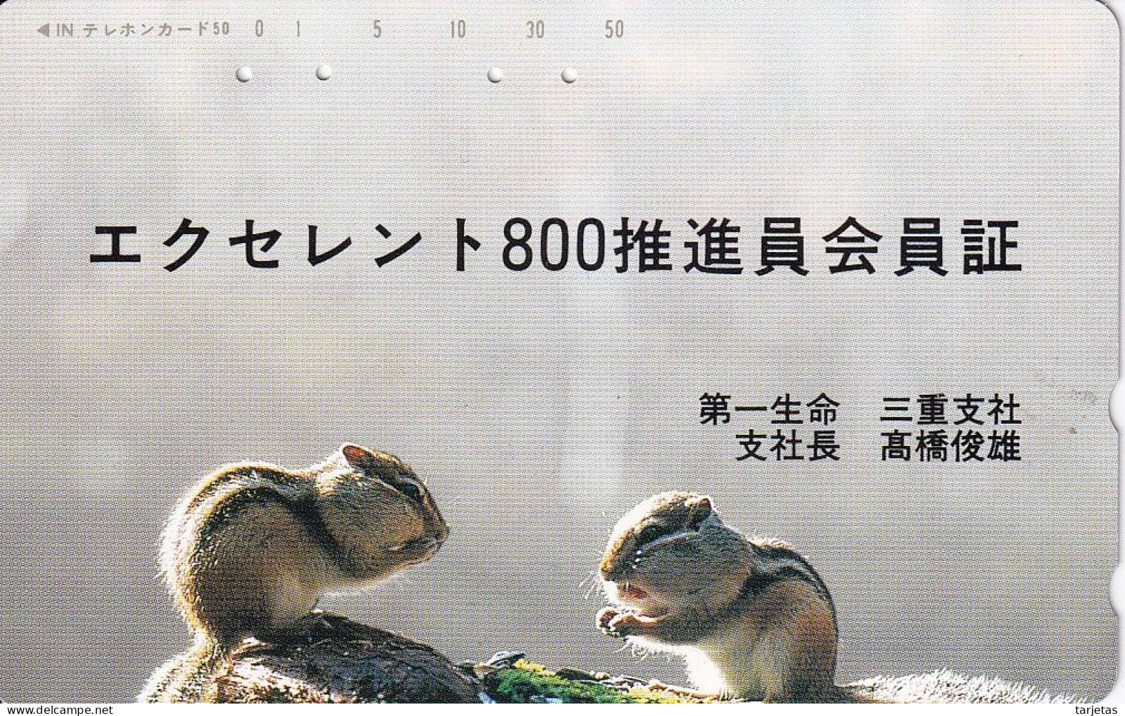 TARJETA DE JAPON DE UNA ARDILLA (SQUIRREL) - Otros & Sin Clasificación