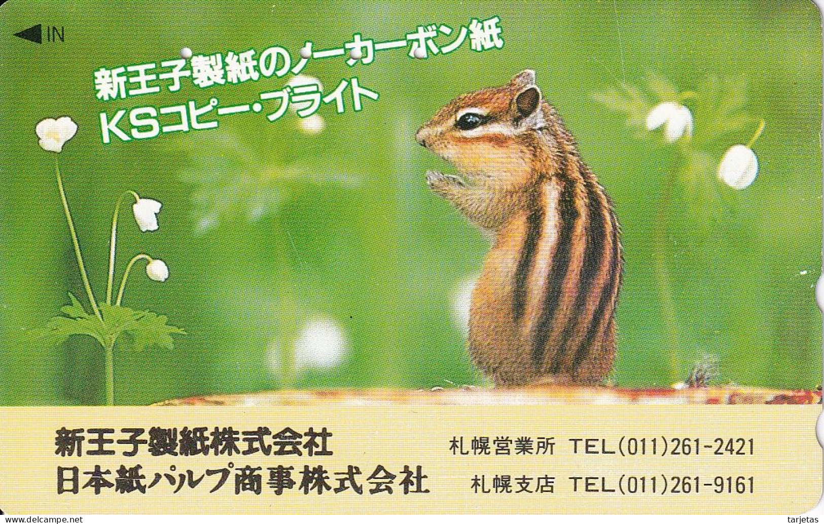 TARJETA DE JAPON DE UNA ARDILLA (SQUIRREL) - Otros & Sin Clasificación