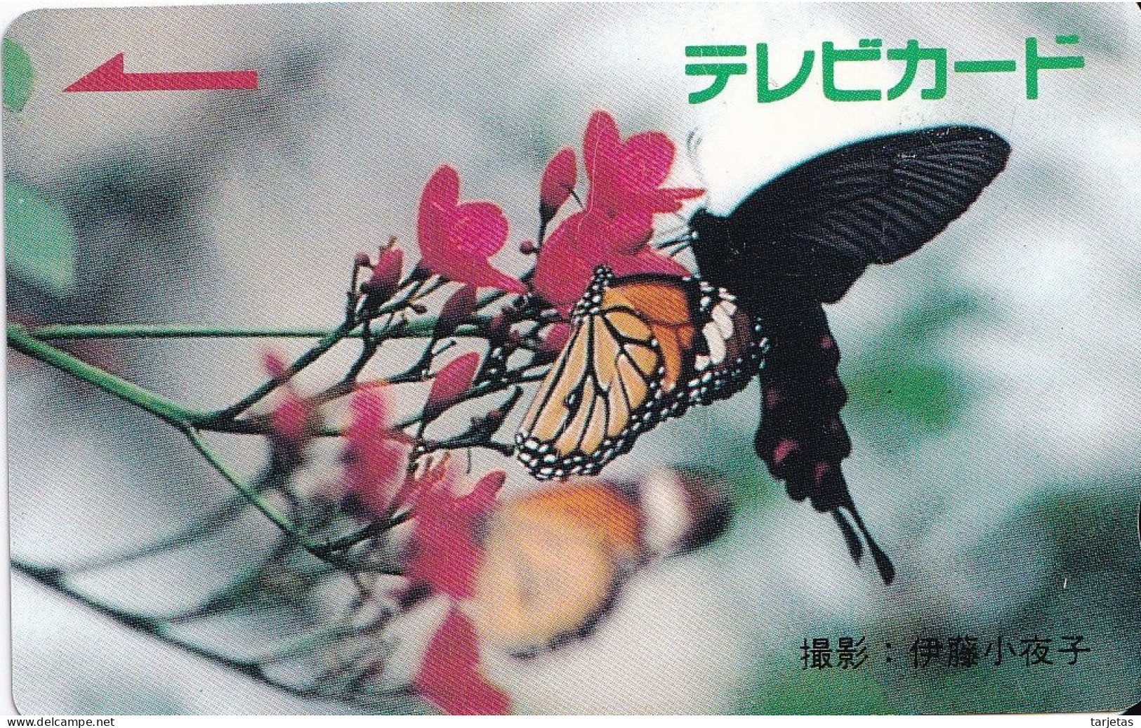 TARJETA DE JAPON DE UNA MARIPOSA (BUTTERFLY) (no Es Tarjeta Telefonica) - Farfalle