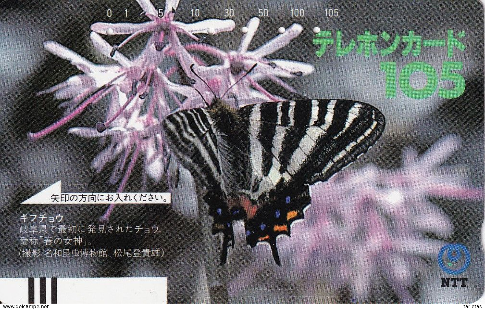 TARJETA DE JAPON DE UNA MARIPOSA (BUTTERFLY) - Farfalle