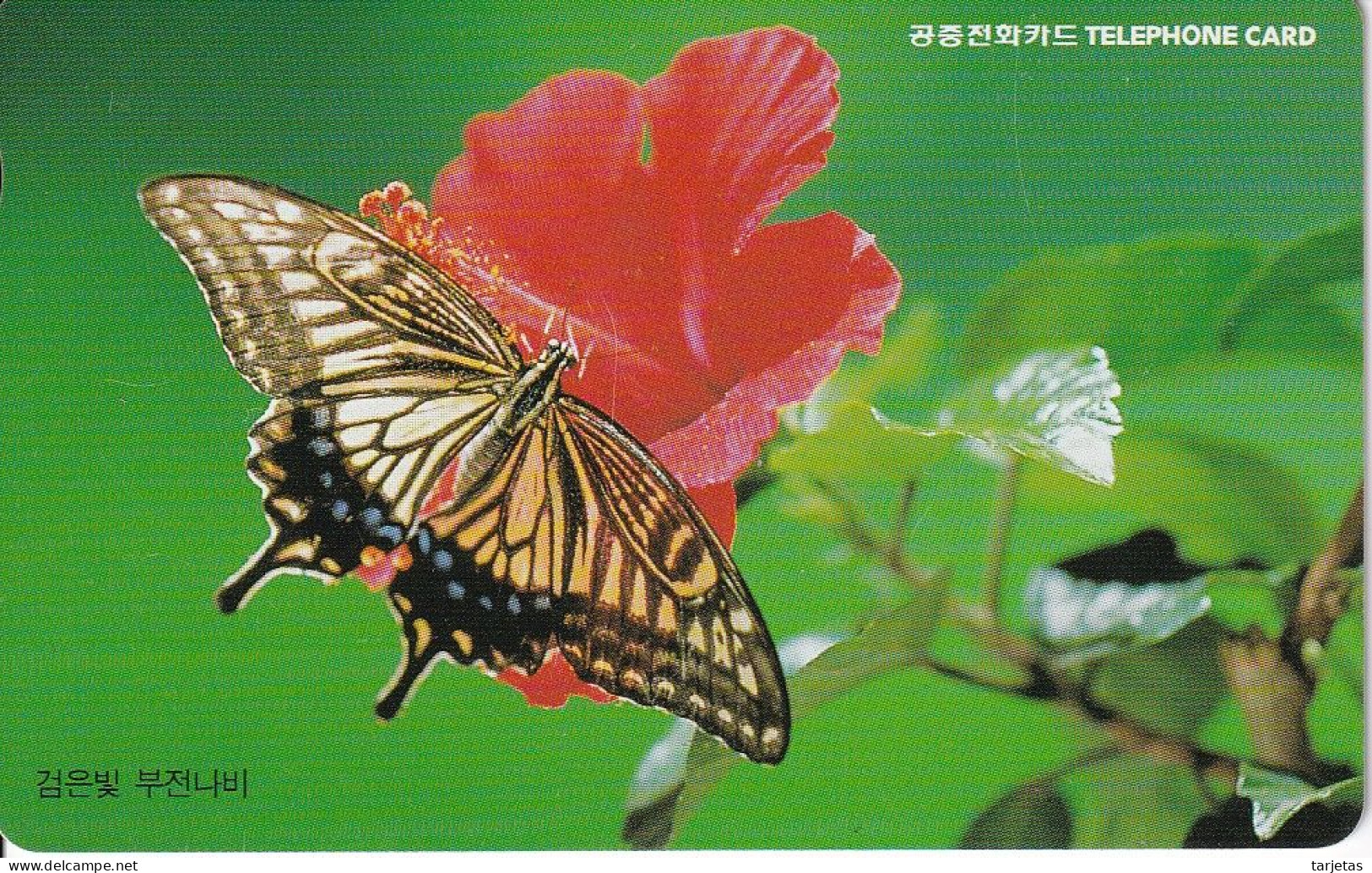 TARJETA DE COREA DE UNA MARIPOSA (BUTTERFLY) - Butterflies